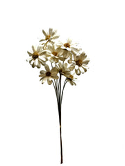 Sola Flowers
