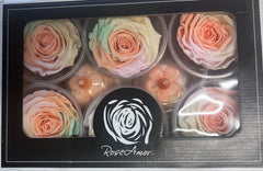 Rose Heads