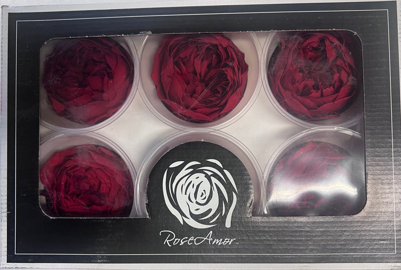 Rose Heads