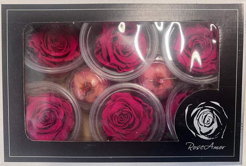 Rose Heads