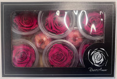 Rose Heads