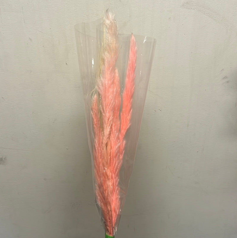 Sample bunches