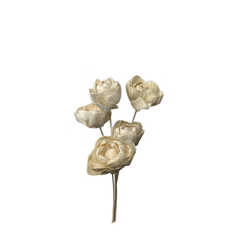 Sola Flowers