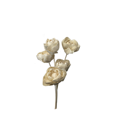 Sola Flowers