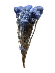 Rice flower