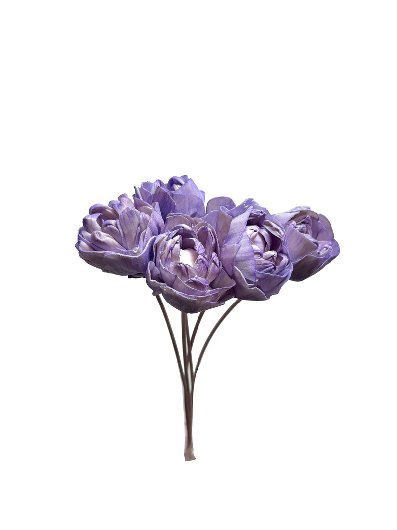 Sola Flowers