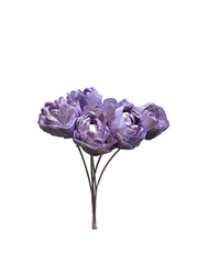 Sola Flowers