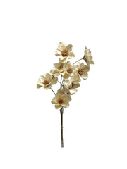Sola Flowers