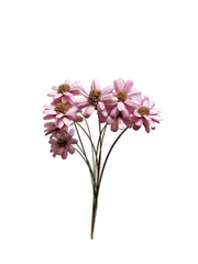 Sola Flowers