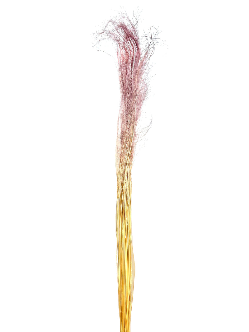 Mulhy Grass