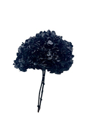 Hydrangea Large Petal