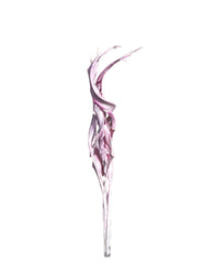 Strelizia Foliage