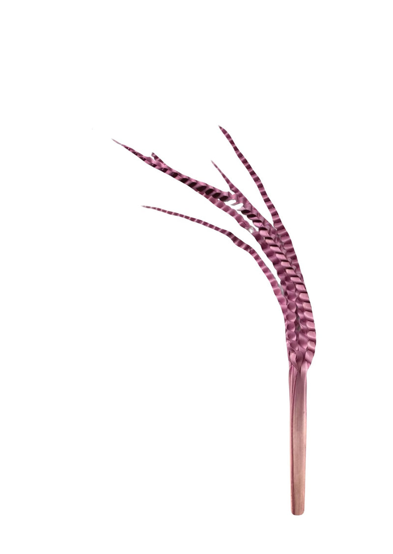 Palm Five Finger