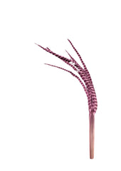 Palm Five Finger