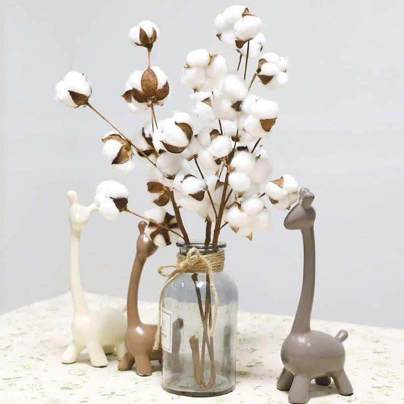 Cotton Flower
