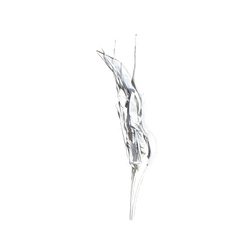 Strelizia Foliage