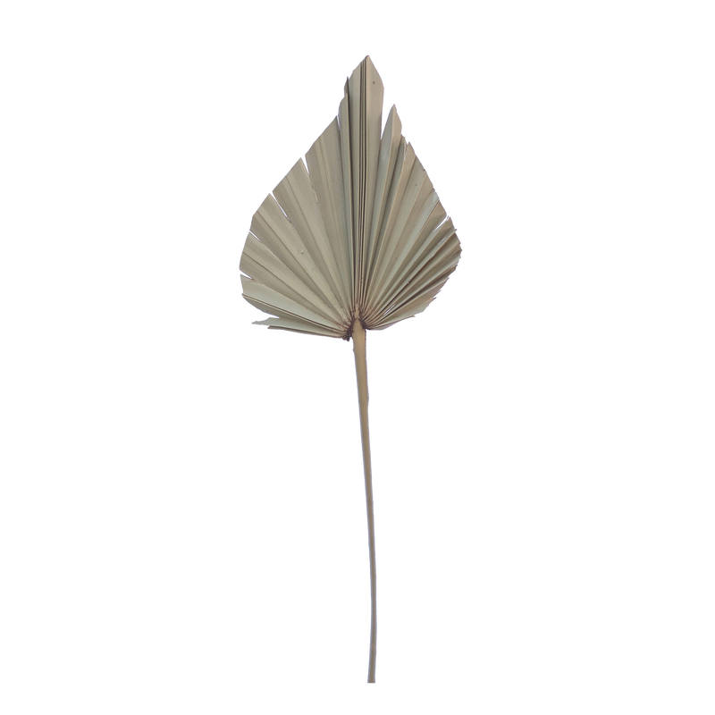 Palm Spear