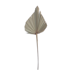 Palm Spear