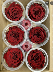 Rose Heads