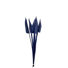 Arrow Palm