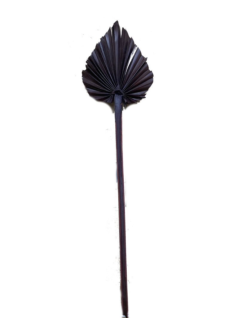 Palm Spear