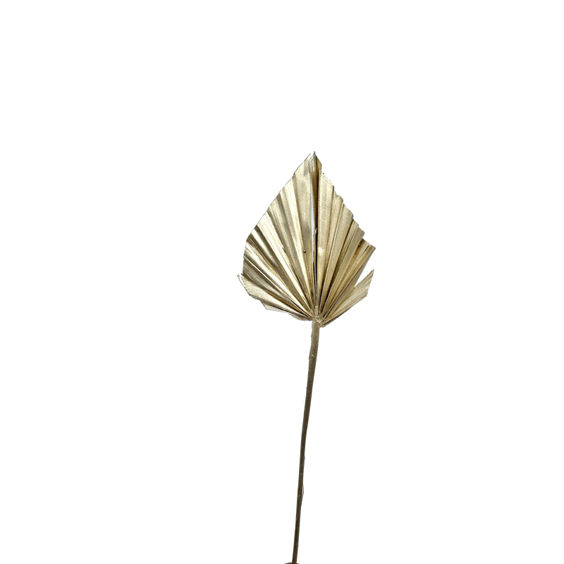 Palm Spear