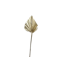 Palm Spear