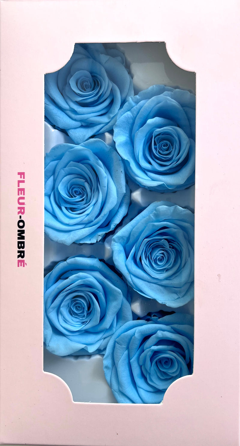Rose Heads