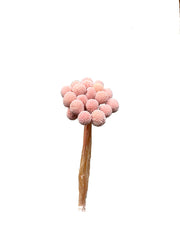 Billy Buttons