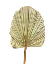 Palms Dry