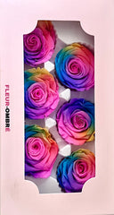 Rose Heads