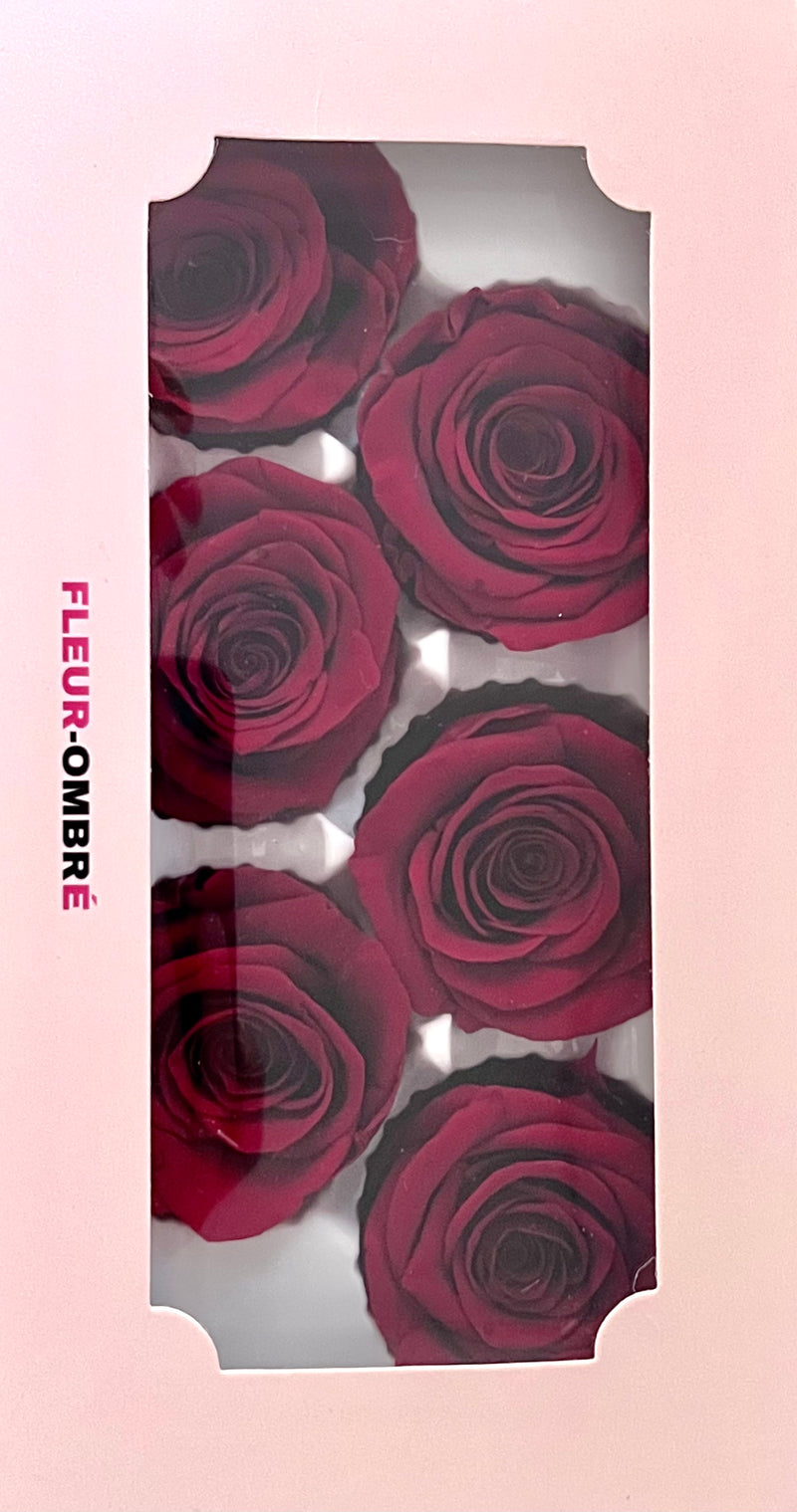 Rose Heads