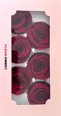 Rose Heads