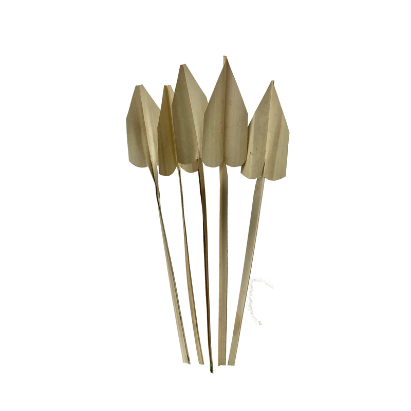Arrow Palm