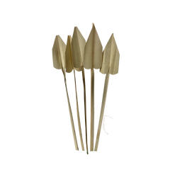 Arrow Palm