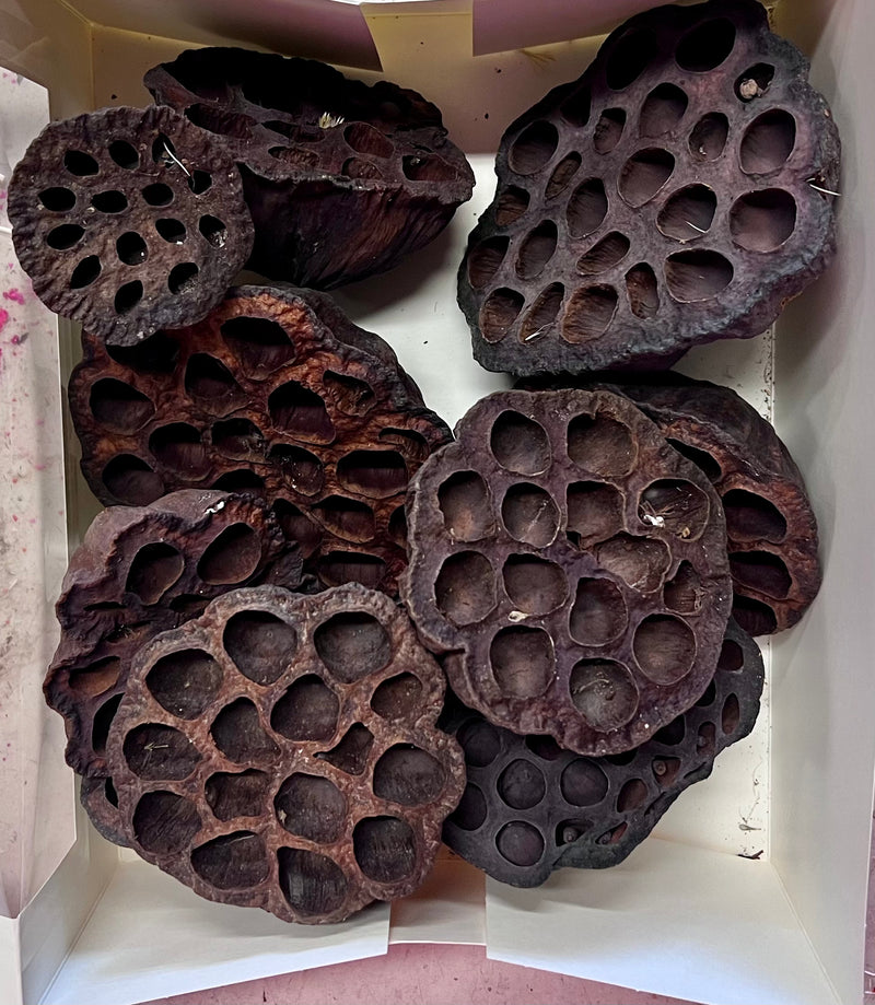 Sample bunches