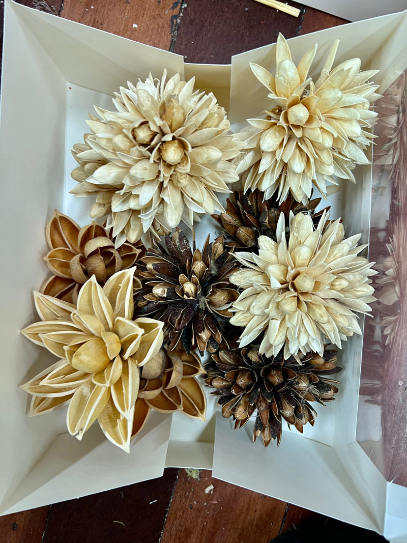 Sample bunches