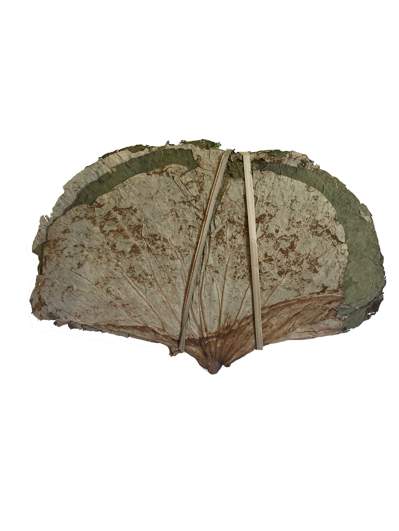 Lotus Leaves