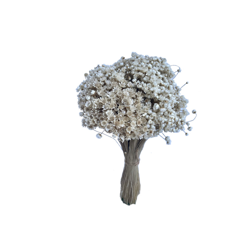 Staelet Flower