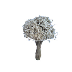 Staelet Flower