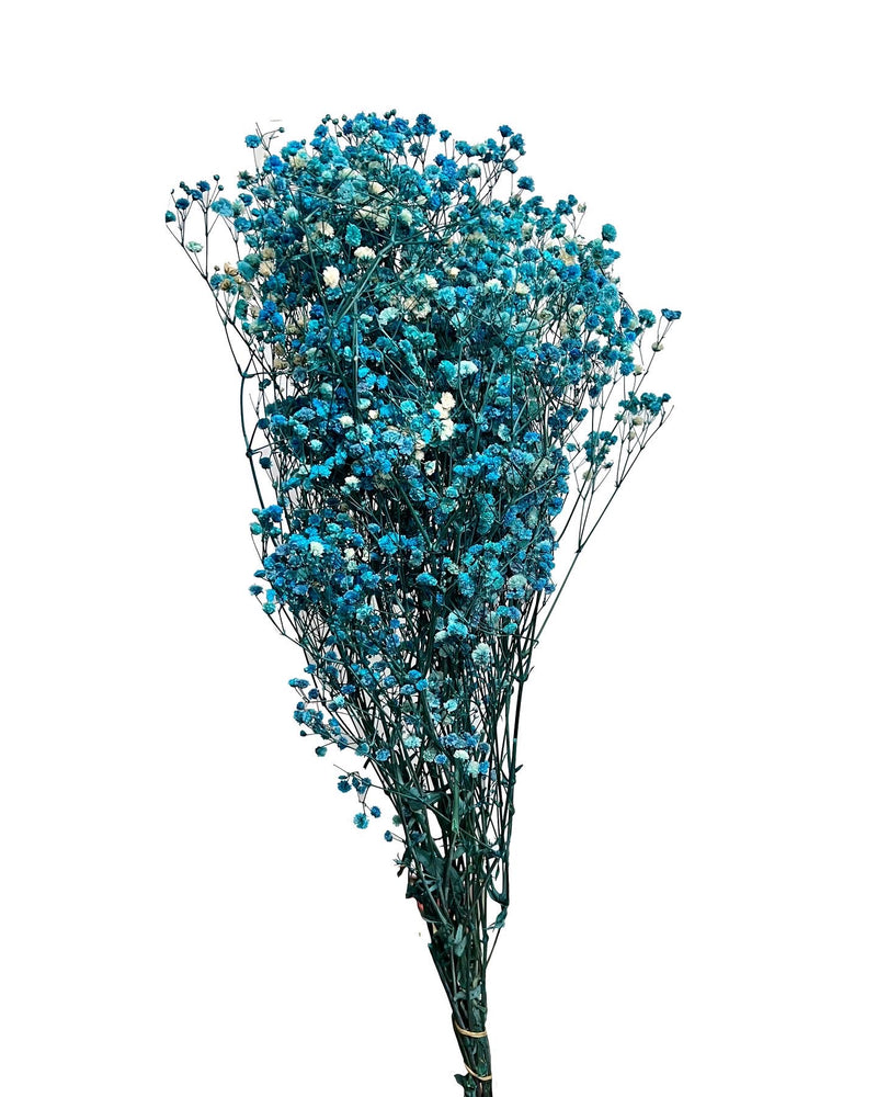 Baby's Breath