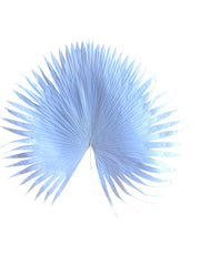 Bleached Palm