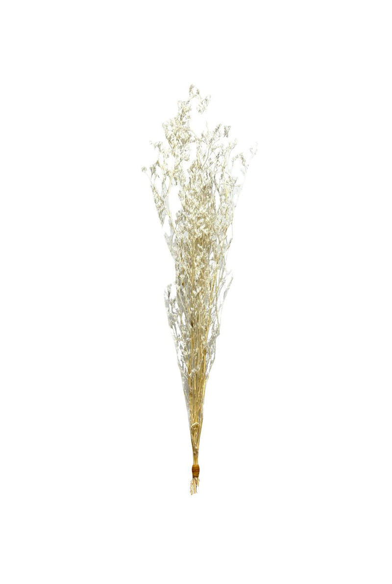 Sample bunches