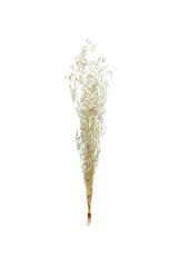Sample bunches