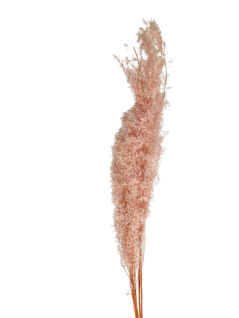 Fox Tail