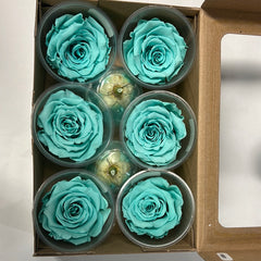 Rose Heads