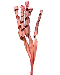 Palm Roll