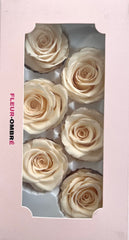Rose Heads