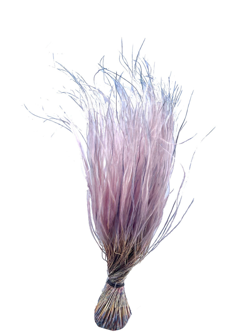 Feather Grass