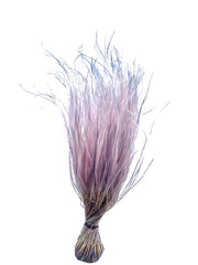 Feather Grass